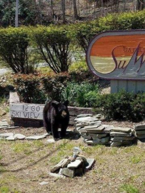 Gatlinburg Mountain Condo